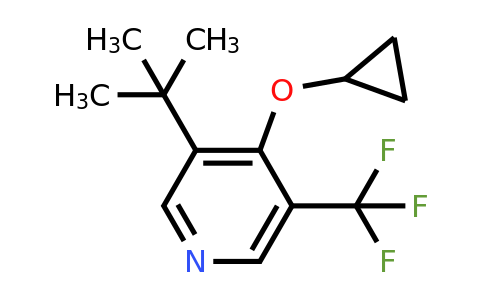 1243283-27-3 | 3-Tert-butyl-4-cyclopropoxy-5-(trifluoromethyl)pyridine