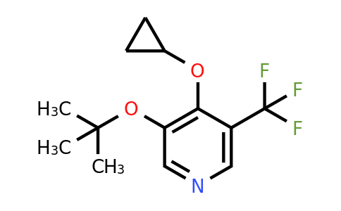 1243346-87-3 | 3-Tert-butoxy-4-cyclopropoxy-5-(trifluoromethyl)pyridine