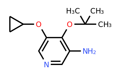 1243371-45-0 | 4-Tert-butoxy-5-cyclopropoxypyridin-3-amine