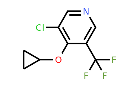 1243375-58-7 | 3-Chloro-4-cyclopropoxy-5-(trifluoromethyl)pyridine