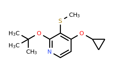 1243381-02-3 | 2-Tert-butoxy-4-cyclopropoxy-3-(methylthio)pyridine