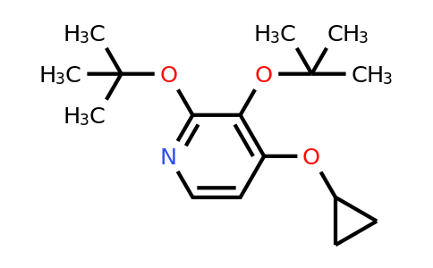 1243459-62-2 | 2,3-DI-Tert-butoxy-4-cyclopropoxypyridine