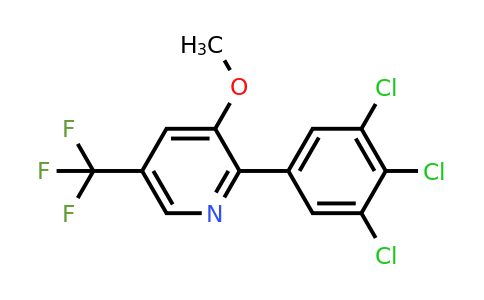 1361502-32-0 | 3-Methoxy-2-(3,4,5-trichlorophenyl)-5-(trifluoromethyl)pyridine