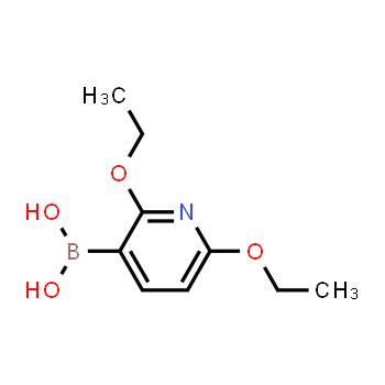 1003043-46-6 | (2,6-diethoxypyridin-3-yl)boronic acid