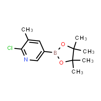 1010101-07-1 | 2-chloro-3-methyl-5-(4,4,5,5-tetramethyl-1,3,2-dioxaborolan-2-yl)pyridine