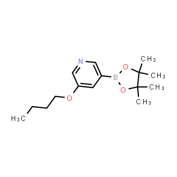 1010104-34-3 | 3-butoxy-5-(4,4,5,5-tetramethyl-1,3,2-dioxaborolan-2-yl)pyridine