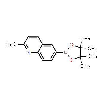 1022090-86-3 | 2-methyl-6-(4,4,5,5-tetramethyl-1,3,2-dioxaborolan-2-yl)quinoline