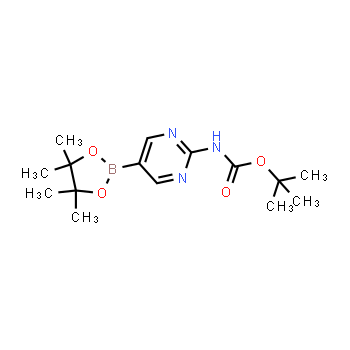 1032758-88-5 | tert-butyl (5-(4,4,5,5-tetramethyl-1,3,2-dioxaborolan-2-yl)pyrimidin-2-yl)carbamate