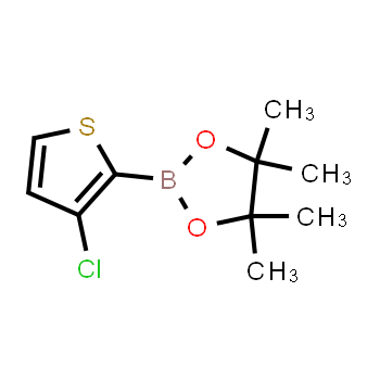 1040281-97-7 | 2-(3-chlorothiophen-2-yl)-4,4,5,5-tetramethyl-1,3,2-dioxaborolane