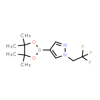 1049730-42-8 | 4-(tetramethyl-1,3,2-dioxaborolan-2-yl)-1-(2,2,2-trifluoroethyl)-1H-pyrazole