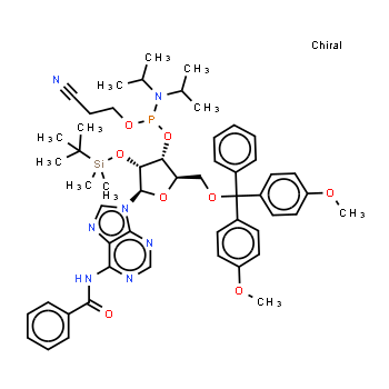 104992-55-4 | Bz-rA Phosphoramidite