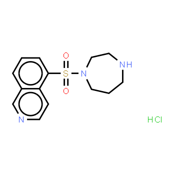 105628-07-7 | Fasudil hydrochloride