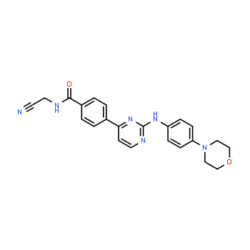 1056634-68-4 | N-(cyanomethyl)-4-(2-((4-morpholinophenyl)amino)pyrimidin-4-yl)benzamide