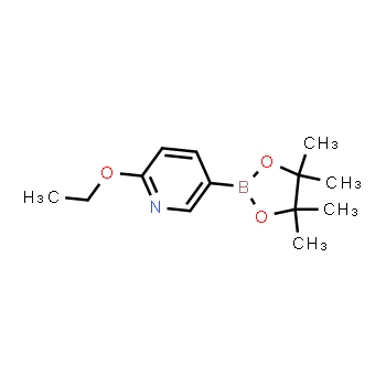 1072945-01-7 | 2-ethoxy-5-(4,4,5,5-tetramethyl-1,3,2-dioxaborolan-2-yl)pyridine