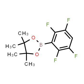 1073339-11-3 | 4,4,5,5-tetramethyl-2-(2,3,5,6-tetrafluorophenyl)-1,3,2-dioxaborolane