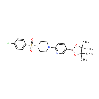 1073354-20-7 | 1-(4-chlorophenylsulfonyl)-4-(5-(4,4,5,5-tetramethyl-1,3,2-dioxaborolan-2-yl)pyridin-2-yl)piperazine