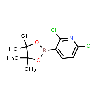 1073371-78-4 | 2,6-dichloro-3-(4,4,5,5-tetramethyl-1,3,2-dioxaborolan-2-yl)pyridine