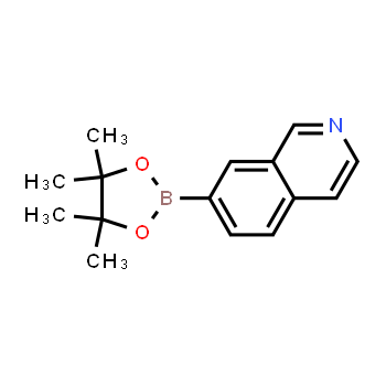 1082947-07-6 | 7-(4,4,5,5-tetramethyl-1,3,2-dioxaborolan-2-yl)isoquinoline