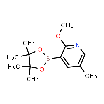 1083168-84-6 | 2-methoxy-5-methyl-3-(4,4,5,5-tetramethyl-1,3,2-dioxaborolan-2-yl)pyridine