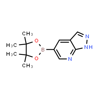 1093819-50-1 | 5-(4,4,5,5-tetramethyl-1,3,2-dioxaborolan-2-yl)-1H-pyrazolo[3,4-b]pyridine