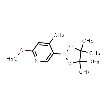 1093951-66-6 | 2-methoxy-4-methyl-5-(4,4,5,5-tetramethyl-1,3,2-dioxaborolan-2-yl)pyridine