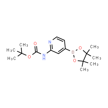 1095708-32-9 | tert-Butyl[4-(4,4,5,5-tetramethyl-1,3,2-dioxaborolan-2-yl)pyridin -2-yl]carbamate