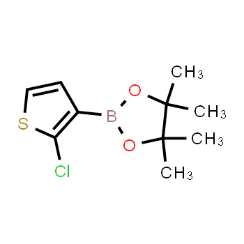 1111096-56-0 | 2-(2-chlorothiophen-3-yl)-4,4,5,5-tetramethyl-1,3,2-dioxaborolane