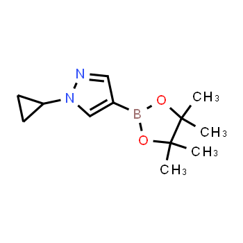 1151802-22-0 | 1-cyclopropyl-4-(4,4,5,5-tetramethyl-1,3,2-dioxaborolan-2-yl)-1H-pyrazole