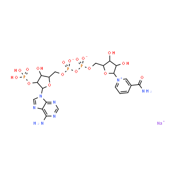 1184-16-3 | beta-Nicotinamide adenine dinucleotide phosphate sodium salt