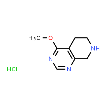 1187830-77-8 | 4-methoxy-5,6,7,8-tetrahydropyrido[3,4-d]pyrimidine hydrochloride