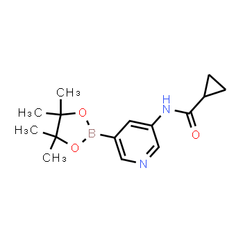 1201644-35-0 | N-(5-(4,4,5,5-tetramethyl-1,3,2-dioxaborolan-2-yl)pyridin-3-yl)cyclopropanecarboxamide