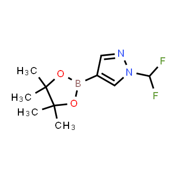 1206640-82-5 | 1-(difluoromethyl)-4-(tetramethyl-1,3,2-dioxaborolan-2-yl)-1H-pyrazole