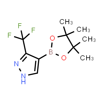 1218790-40-9 | 4-(tetramethyl-1,3,2-dioxaborolan-2-yl)-3-(trifluoromethyl)-1H-pyrazole