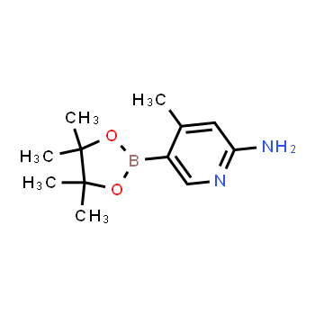 1220219-94-2 | 4-methyl-5-(4,4,5,5-tetramethyl-1,3,2-dioxaborolan-2-yl)pyridin-2-amine