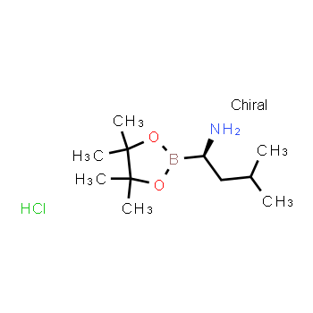 1243174-57-3 | (R)-3-methyl-1-(4,4,5,5-tetramethyl-1,3,2-dioxaborolan-2-yl)butan-1-amine hydrochloride