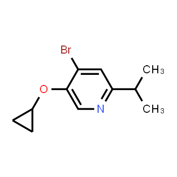 1243457-09-1 | 4-bromo-5-cyclopropoxy-2-isopropylpyridine