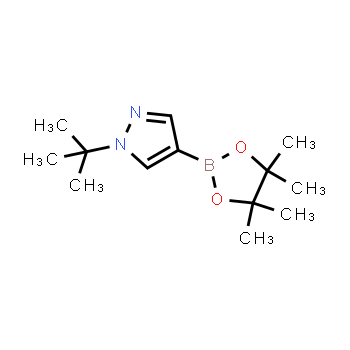 1256359-15-5 | 1-(tert-butyl)-4-(4,4,5,5-tetramethyl-1,3,2-dioxaborolan-2-yl)-1H-pyrazole