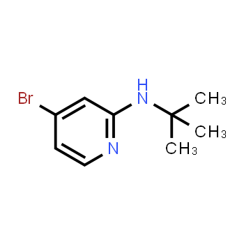 1256819-02-9 | 4-bromo-N-(tert-butyl)pyridin-2-amine