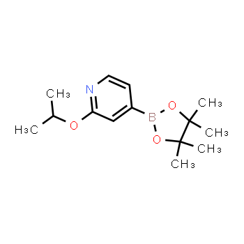 1257554-10-1 | 2-isopropoxy-4-(4,4,5,5-tetramethyl-1,3,2-dioxaborolan-2-yl)pyridine