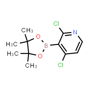 1257651-49-2 | 2,4-dichloro-3-(4,4,5,5-tetramethyl-1,3,2-dioxaborolan-2-yl)pyridine