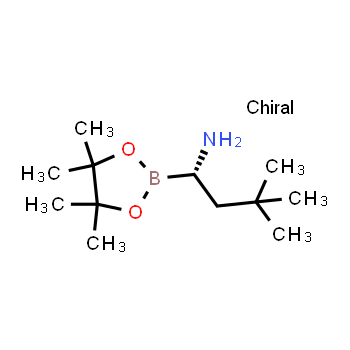 1259365-01-9 | (S)-3,3-dimethyl-1-(4,4,5,5-tetramethyl-1,3,2-dioxaborolan-2-yl)butan-1-amine