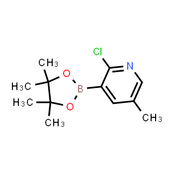 1309982-62-4 | 2-chloro-5-methyl-3-(4,4,5,5-tetramethyl-1,3,2-dioxaborolan-2-yl)pyridine