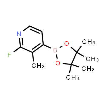 1310383-57-3 | 2-fluoro-3-methyl-4-(4,4,5,5-tetramethyl-1,3,2-dioxaborolan-2-yl)pyridine