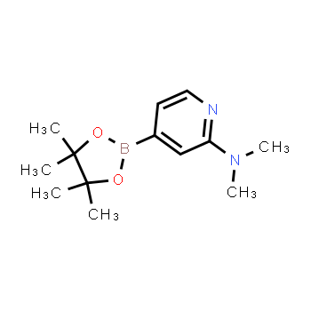 1321518-05-1 | N,N-dimethyl-4-(4,4,5,5-tetramethyl-1,3,2-dioxaborolan-2-yl)pyridin-2-amine