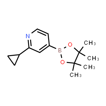 1321518-37-9 | 2-cyclopropyl-4-(4,4,5,5-tetramethyl-1,3,2-dioxaborolan-2-yl)pyridine