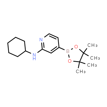 1346808-50-1 | N-cyclohexyl-4-(4,4,5,5-tetramethyl-1,3,2-dioxaborolan-2-yl)pyridin-2-amine