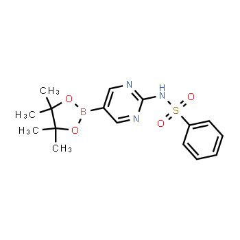 1350749-50-6 | N-(5-(4,4,5,5-tetramethyl-1,3,2-dioxaborolan-2-yl)pyrimidin-2-yl)benzenesulfonamide