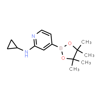 1350918-92-1 | N-cyclopropyl-4-(4,4,5,5-tetramethyl-1,3,2-dioxaborolan-2-yl)pyridin-2-amine