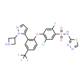 1354818-96-4 | 4-[2-[1-(3-azetidinyl)-1h-pyrazol-5-yl]-4-(trifluoromethyl)phenoxy]-5-chloro-2-fluoro-n-1,3,4-thiadiazol-2-yl benzenesulfonamide