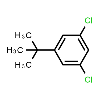 1369899-62-6 | benzene, 1,3-dichloro-5-(1,1-dimethylethyl)-